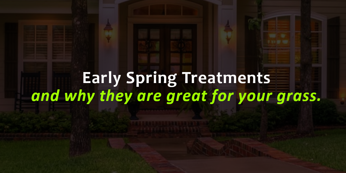 The Importance of Early Spring Treatments